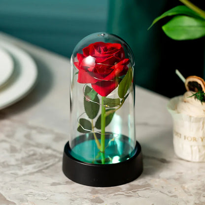 Everlasting Rose LED Glass Dome